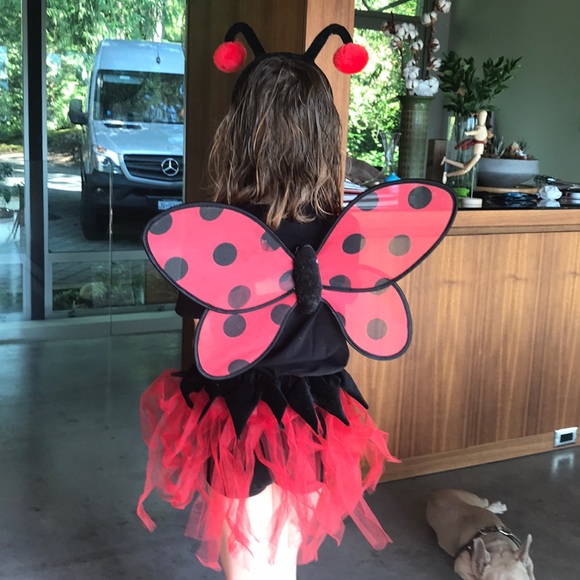 Ladybug Costume-Headband not included - Picture 2 of 4